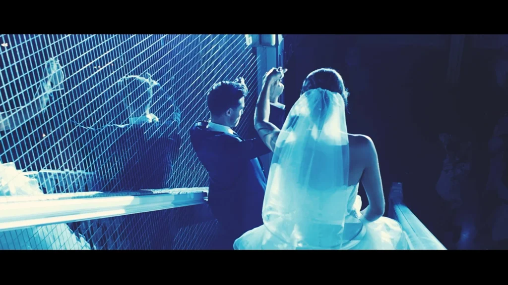 vidéaste auteur mariage - 90d6ff0e 860e 4b66 af9c 6ed94d5ae319